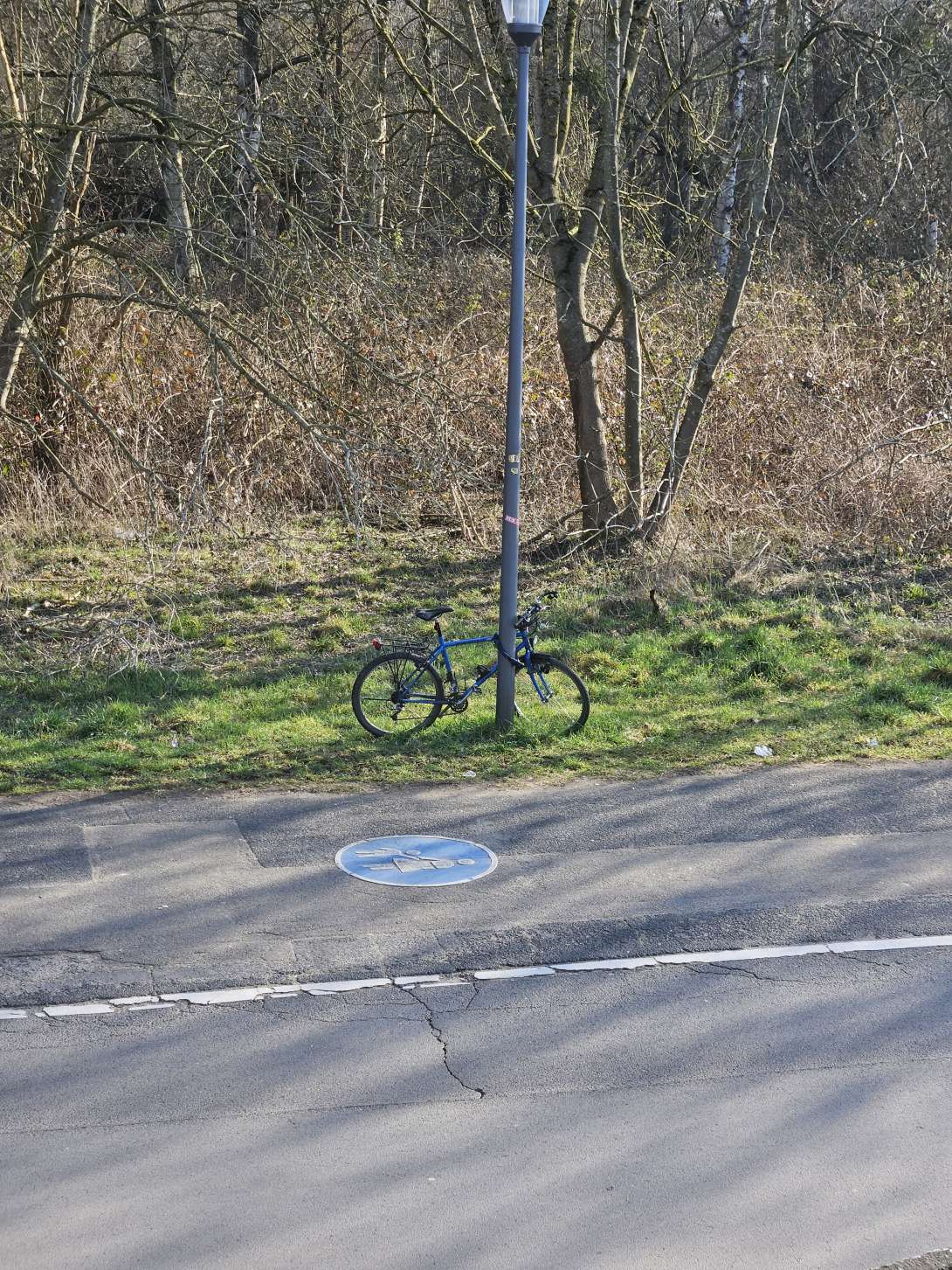 Bild zu gemeldetem Anliegen vom *2025-03-17 09:09:28