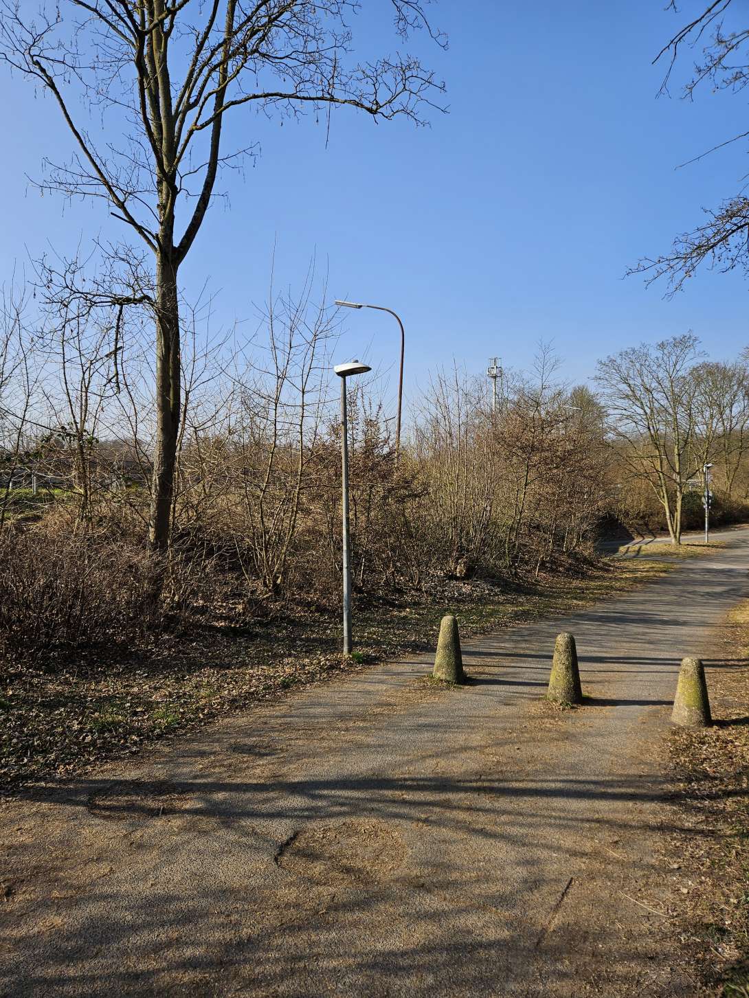 Bild zu gemeldetem Anliegen vom *2025-03-10 14:35:06