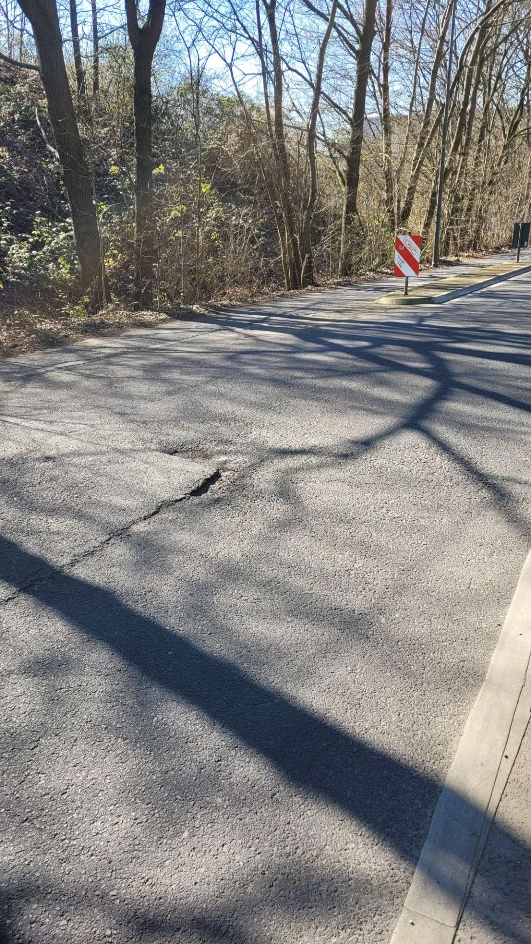 Bild zu gemeldetem Anliegen vom *2025-03-25 15:37:28
