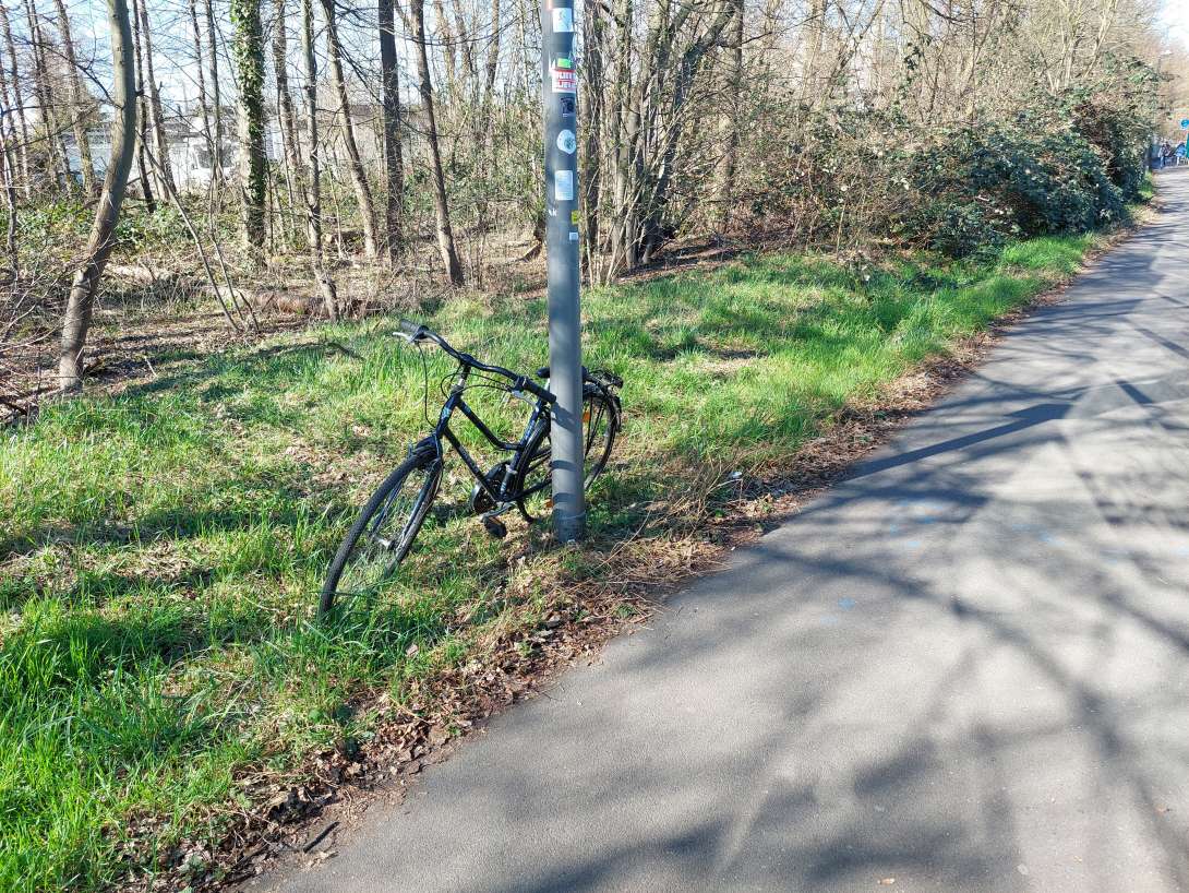 Bild zu gemeldetem Anliegen vom *2025-03-18 19:13:40