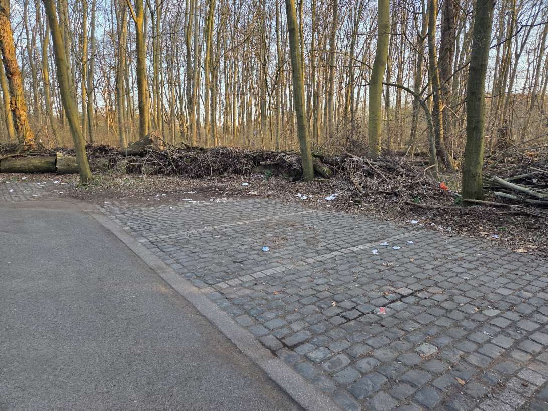Bild zu gemeldetem Anliegen vom *2025-03-24 16:30:26