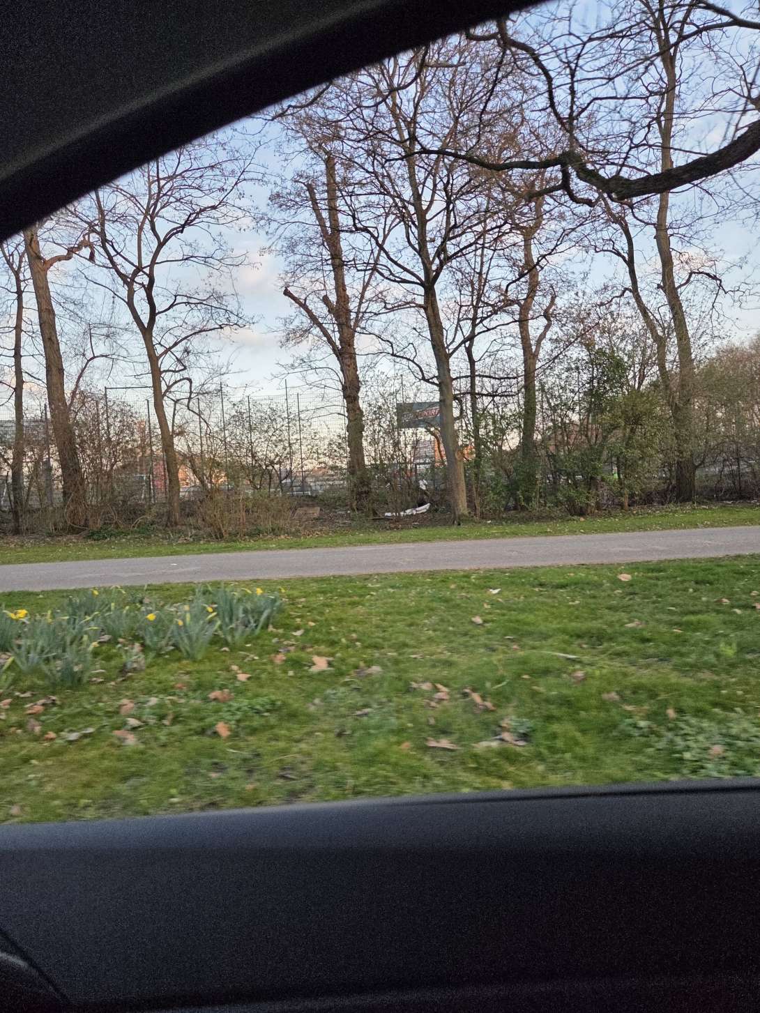 Bild zu gemeldetem Anliegen vom *2025-03-24 18:49:00