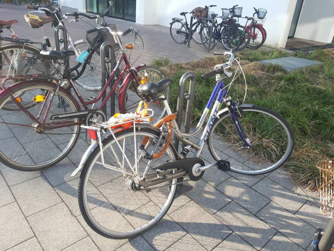 Bild zu gemeldetem Anliegen vom *2025-04-01 13:36:05