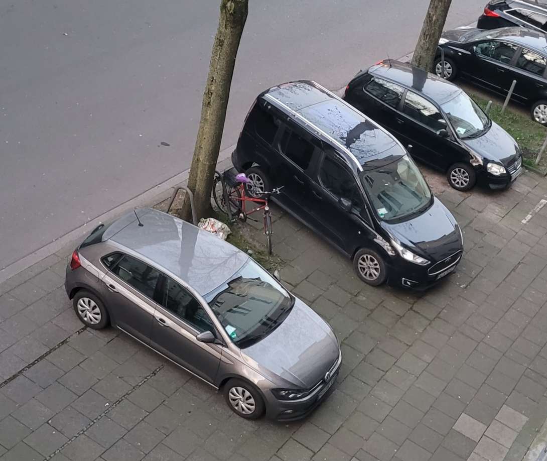 Bild zu gemeldetem Anliegen vom *2025-03-31 10:18:27