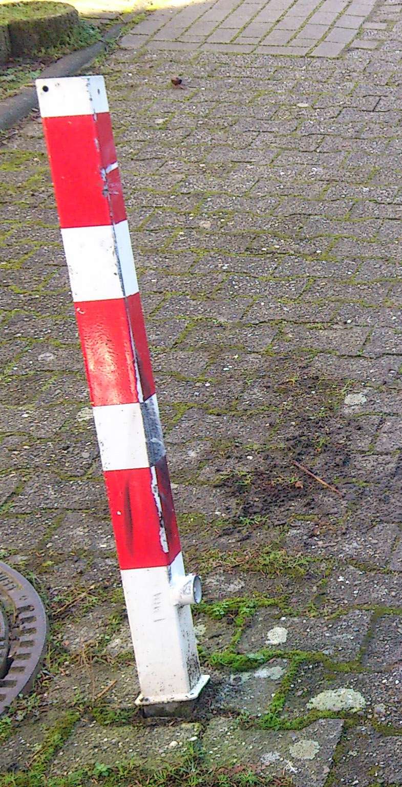 Bild zu gemeldetem Anliegen vom *2025-03-06 08:47:11