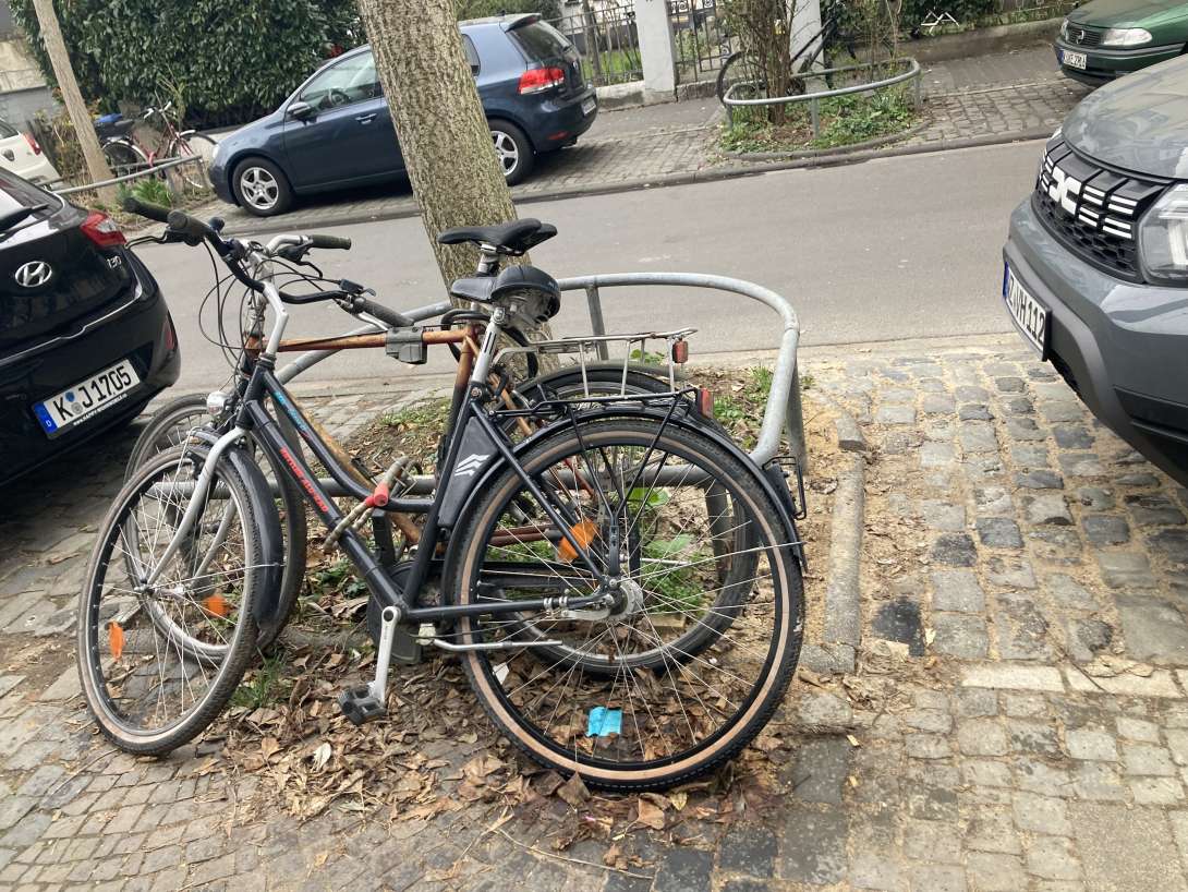 2 Schrottfahrräder am Baum