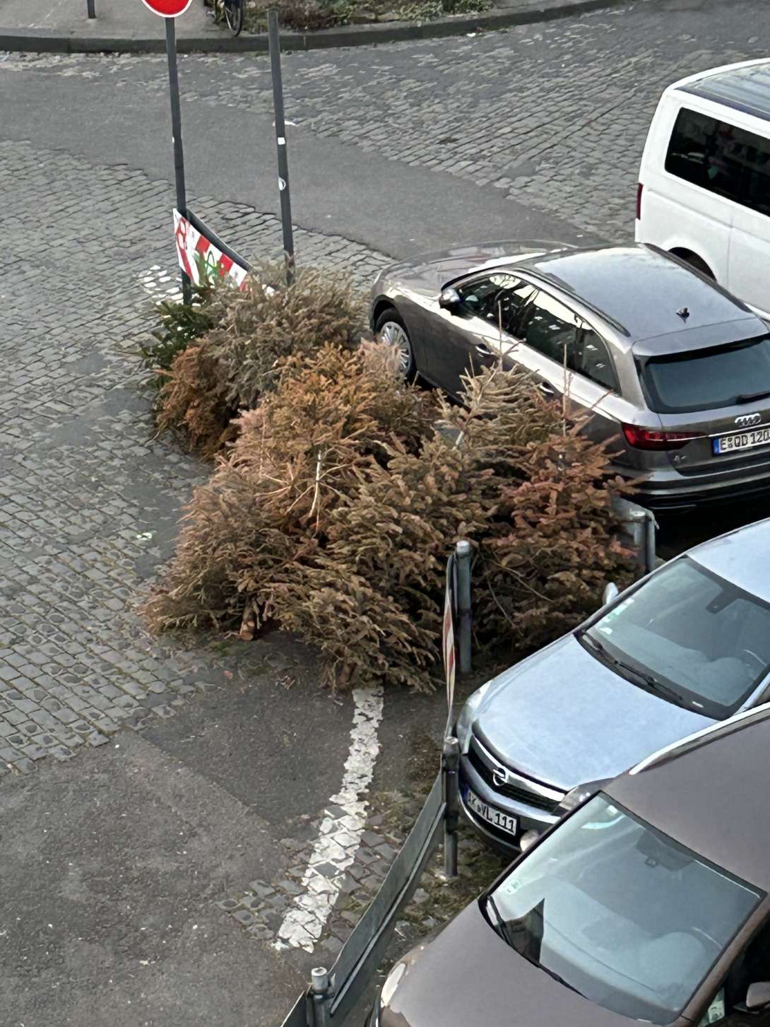 Bild zu gemeldetem Anliegen vom *2025-03-07 09:14:38