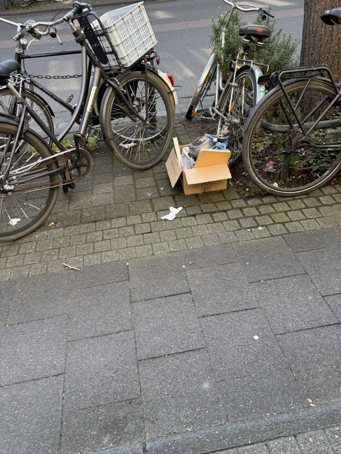 Bild zu gemeldetem Anliegen vom *2025-03-15 11:08:45