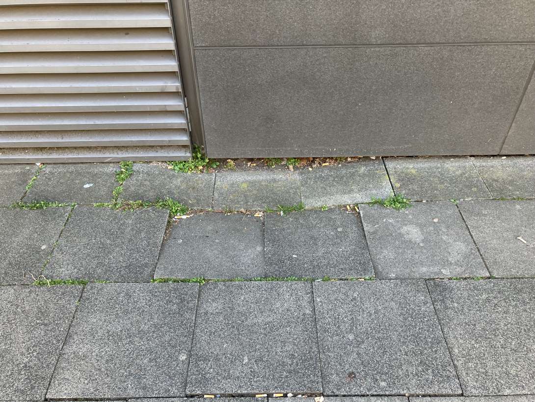 Bild zu gemeldetem Anliegen vom *2025-03-28 11:01:29