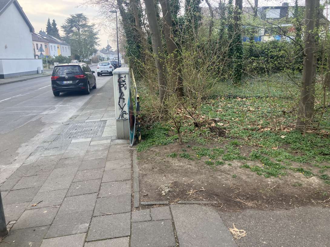 Bild zu gemeldetem Anliegen vom *2025-03-25 12:18:21