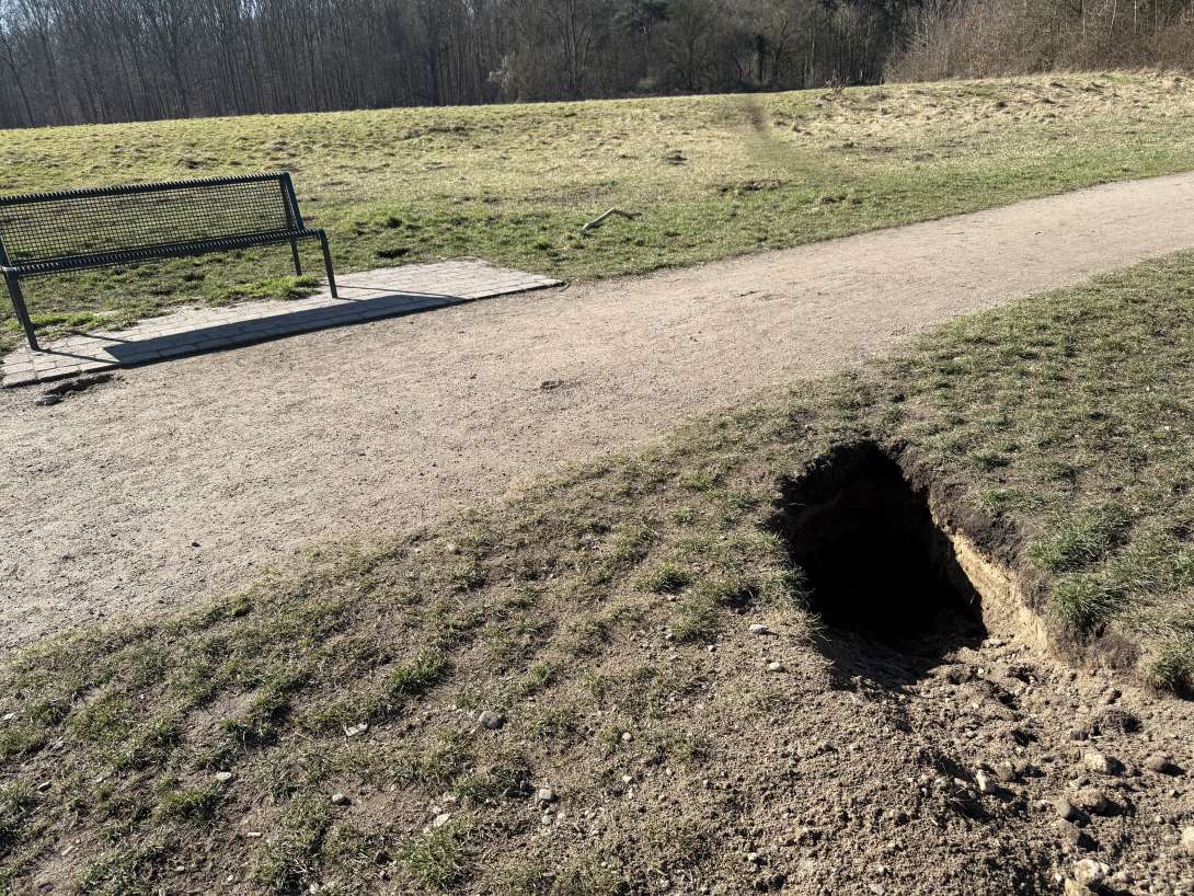 Bild zu gemeldetem Anliegen vom *2025-03-05 11:26:39