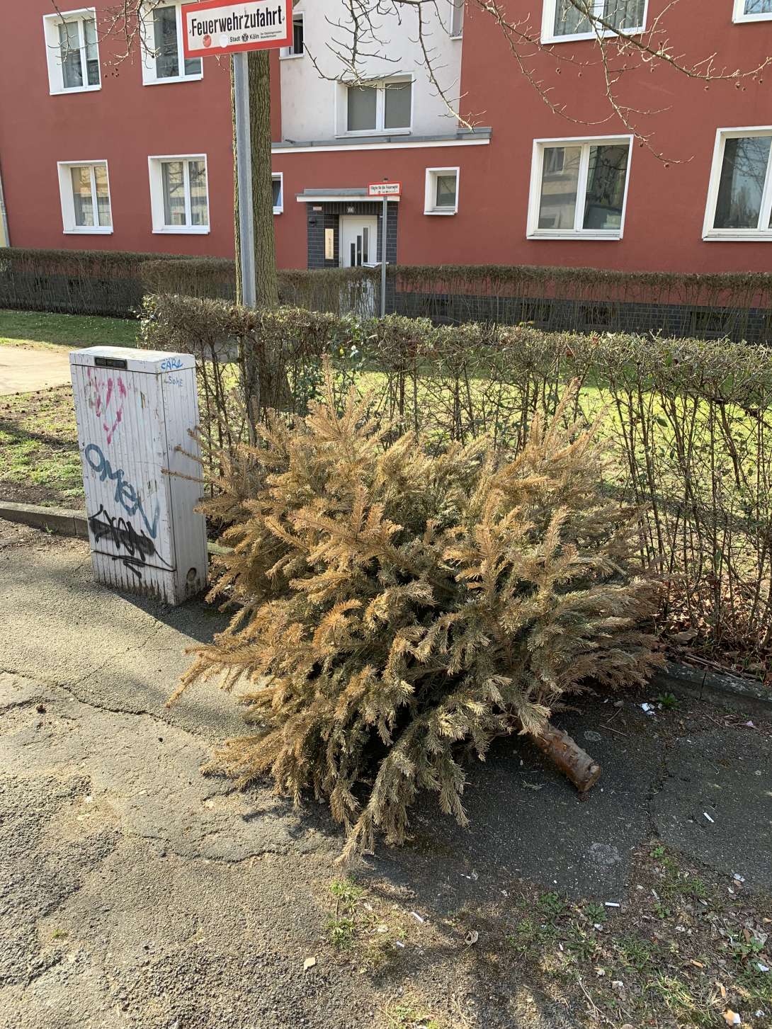 Bild zu gemeldetem Anliegen vom *2025-03-10 14:24:22