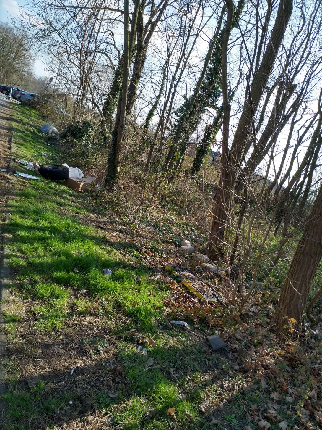 Bild zu gemeldetem Anliegen vom *2025-03-16 18:29:44