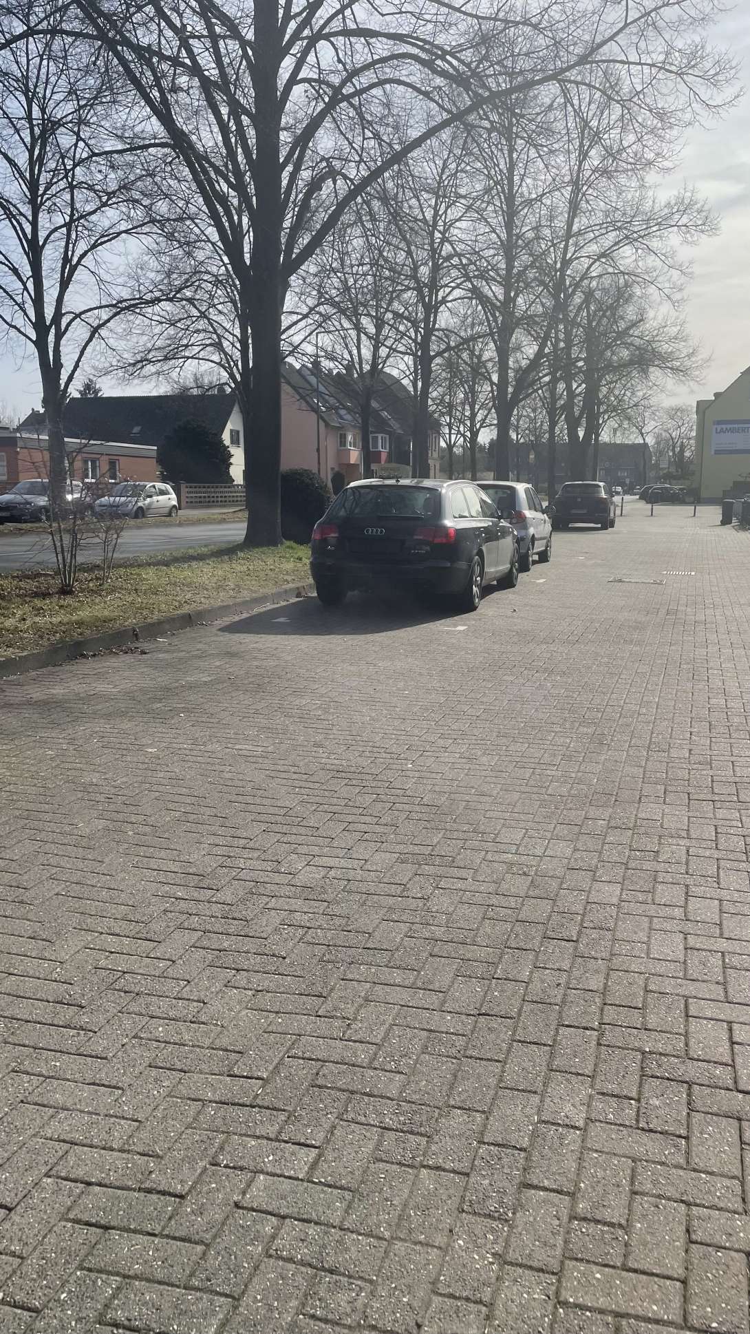 Bild zu gemeldetem Anliegen vom *2025-03-05 14:54:31