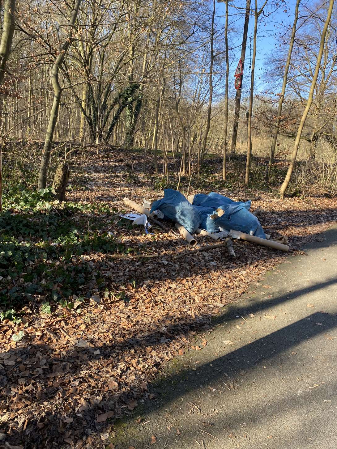 Bild zu gemeldetem Anliegen vom *2025-03-06 12:24:59