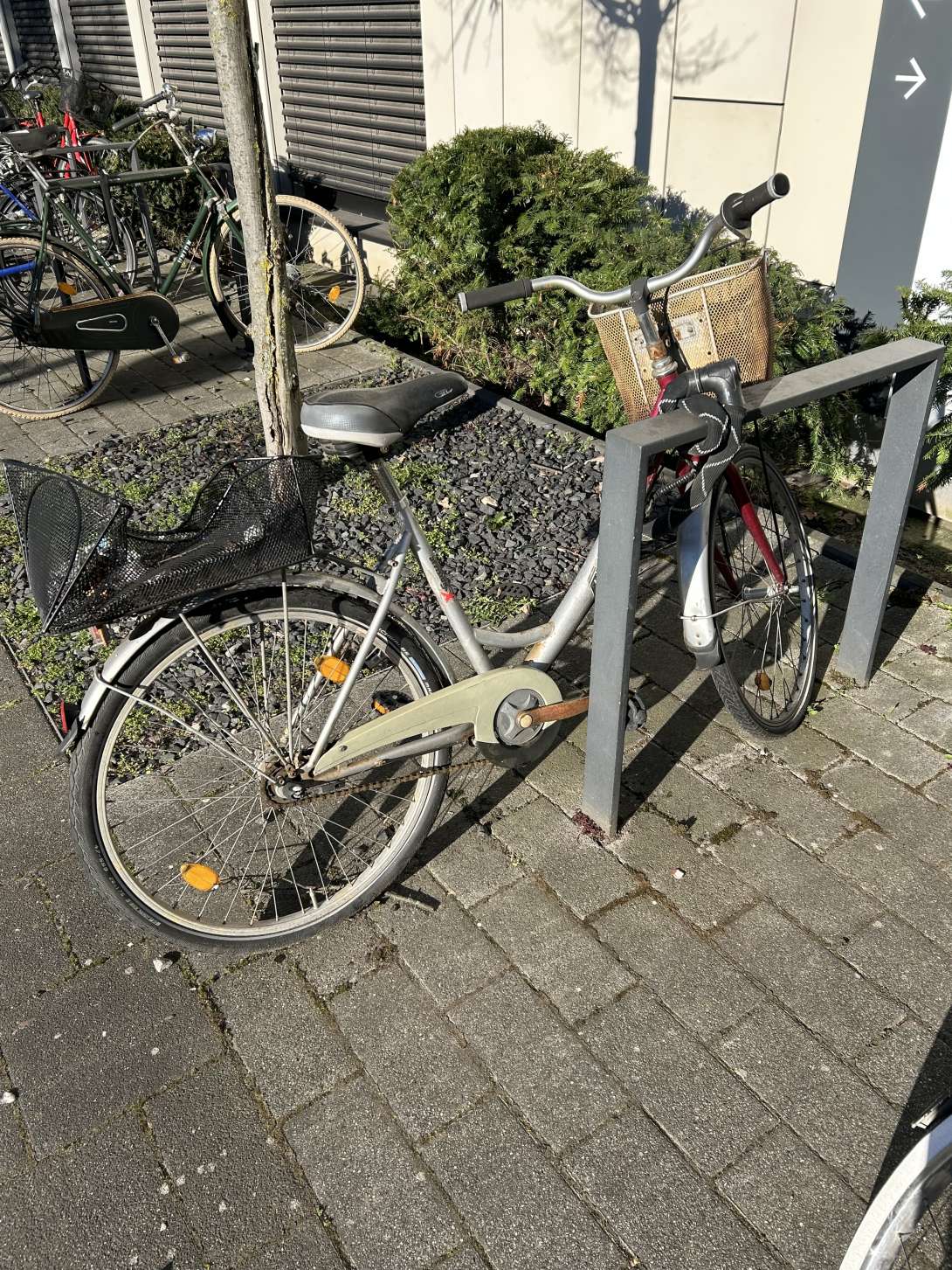 Bild zu gemeldetem Anliegen vom *2025-03-18 10:18:39
