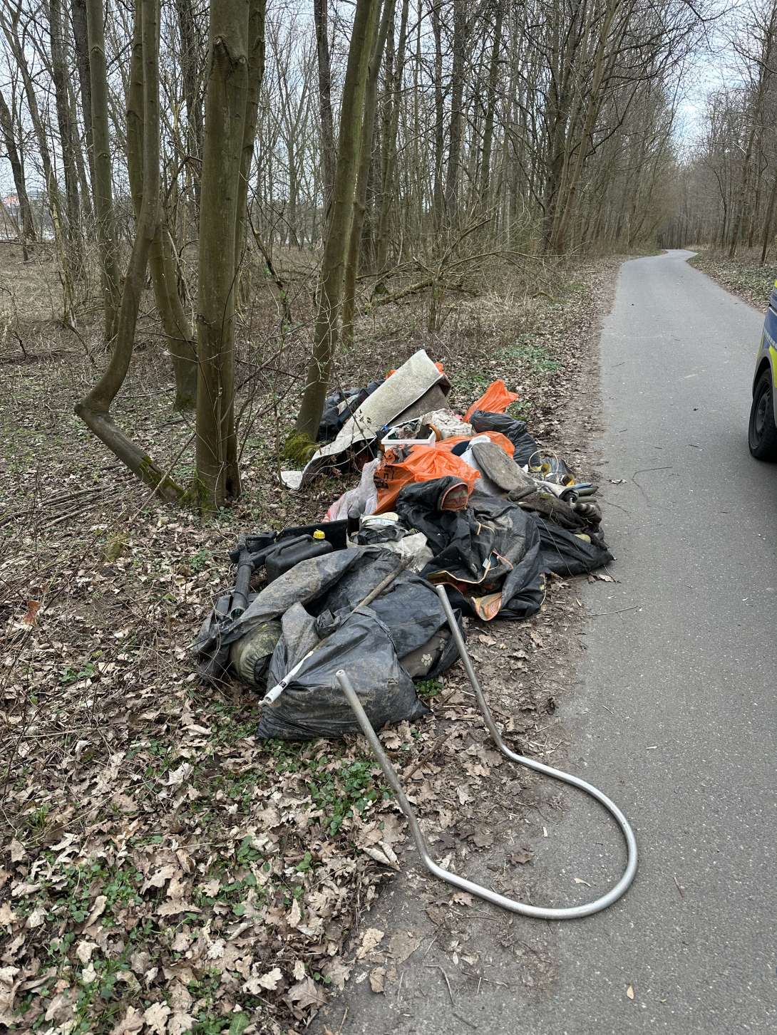Bild zu gemeldetem Anliegen vom *2025-03-15 15:59:06