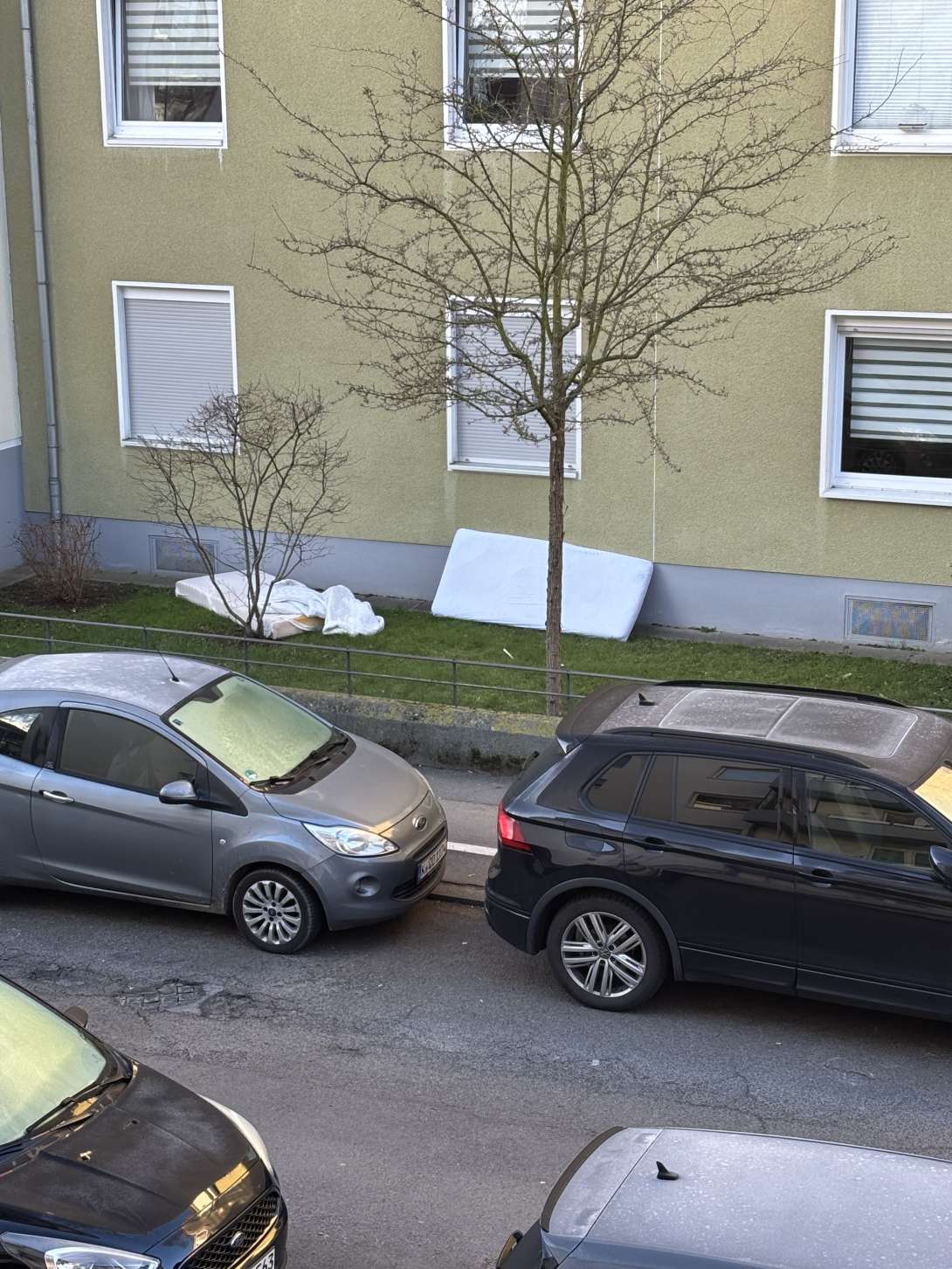 Bild zu gemeldetem Anliegen vom *2025-03-05 12:49:39