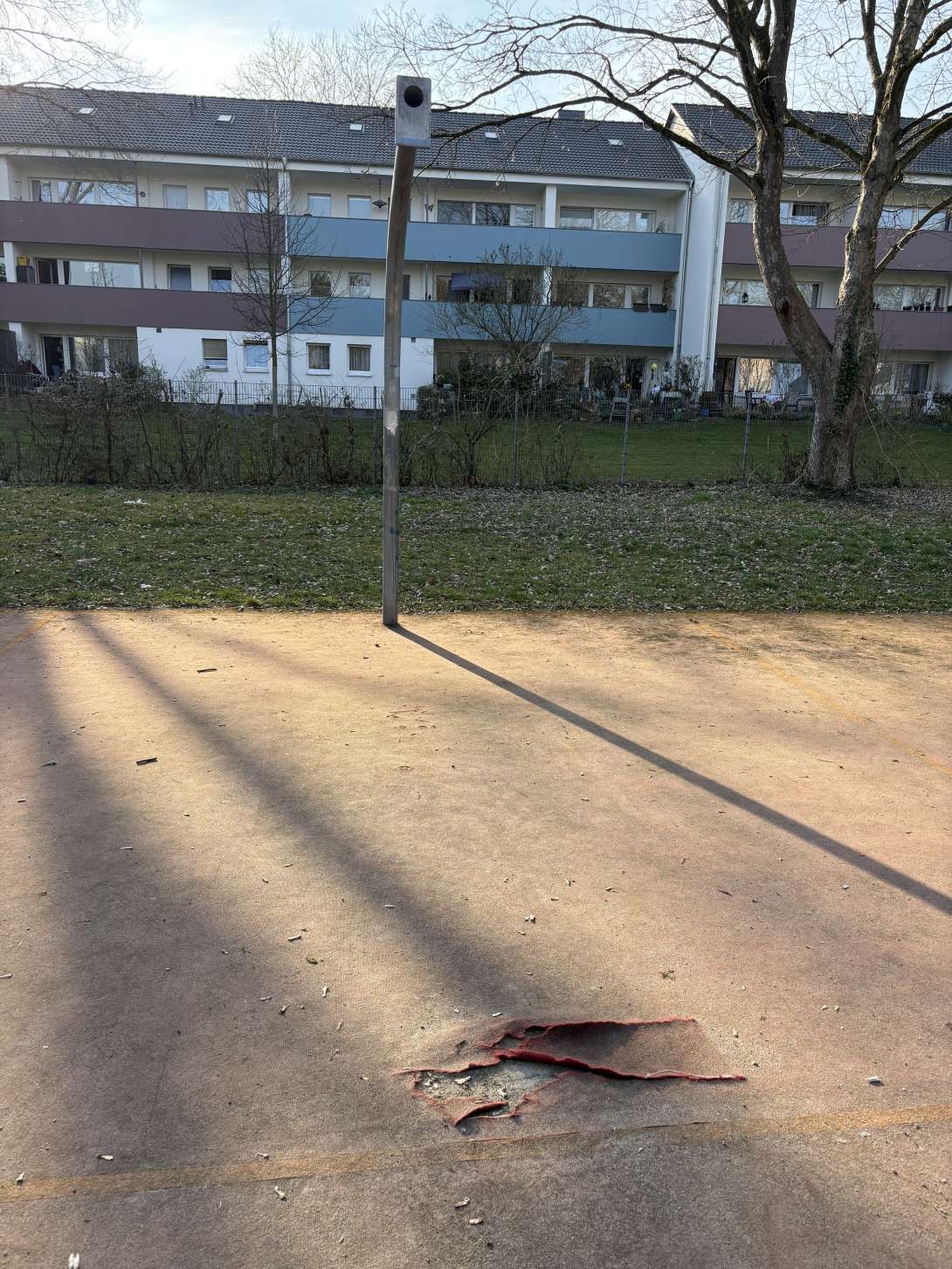 Bild zu gemeldetem Anliegen vom *2025-03-09 15:27:49