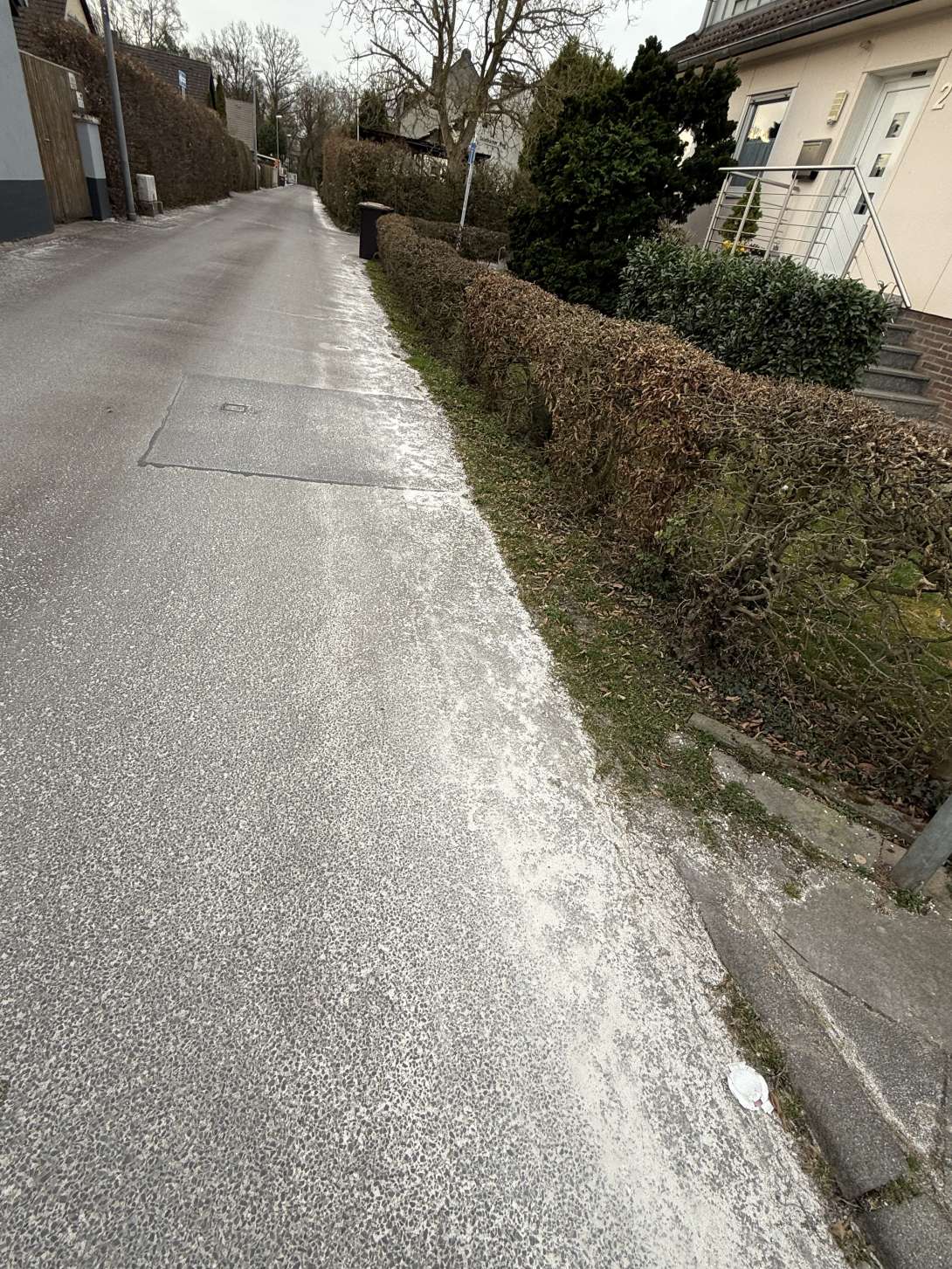 Bild zu gemeldetem Anliegen vom *2025-03-22 12:49:52