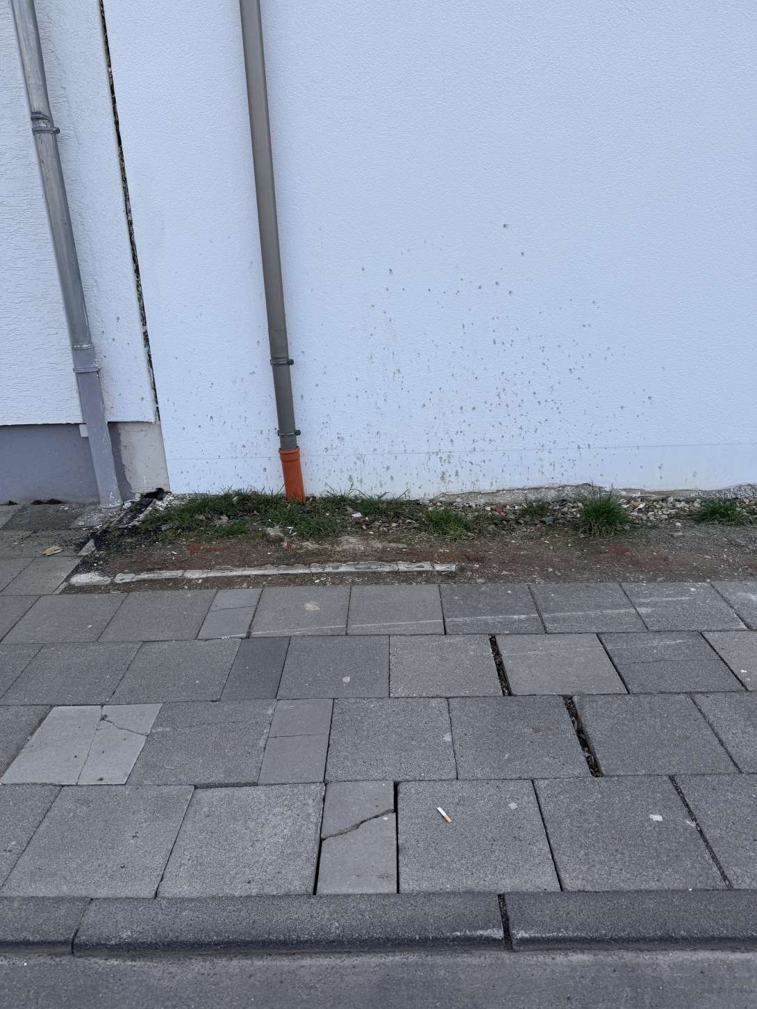 Bild zu gemeldetem Anliegen vom *2025-03-10 17:22:16