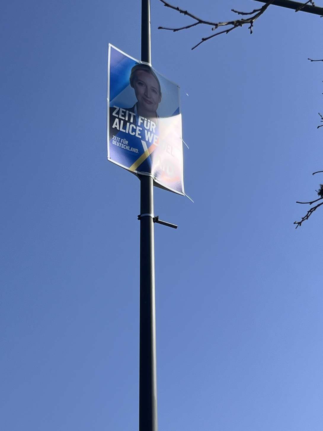 Bild zu gemeldetem Anliegen vom *2025-03-13 14:14:29