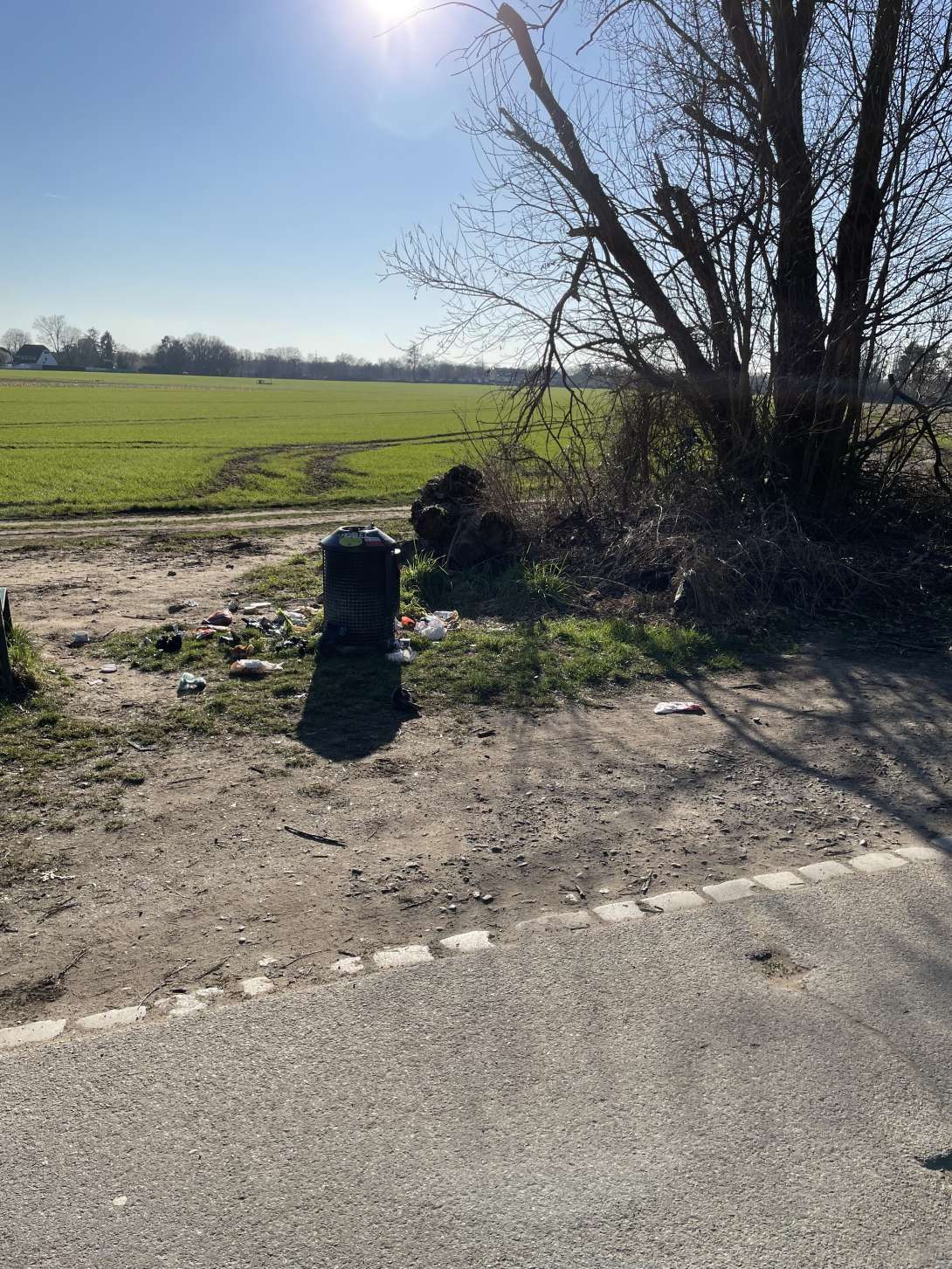Bild zu gemeldetem Anliegen vom *2025-03-06 10:42:29