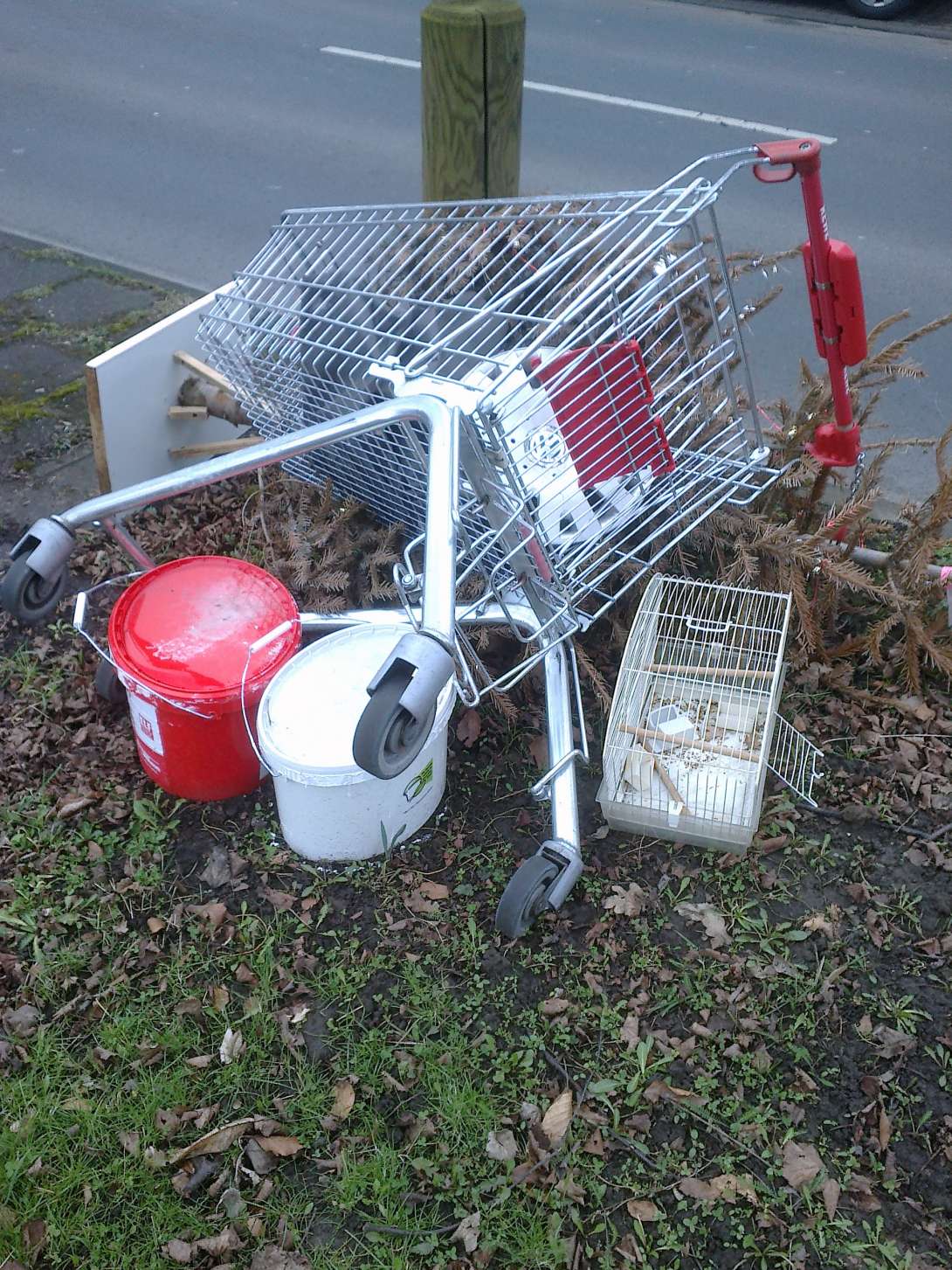 Bild zu gemeldetem Anliegen vom *2025-03-06 11:37:08
