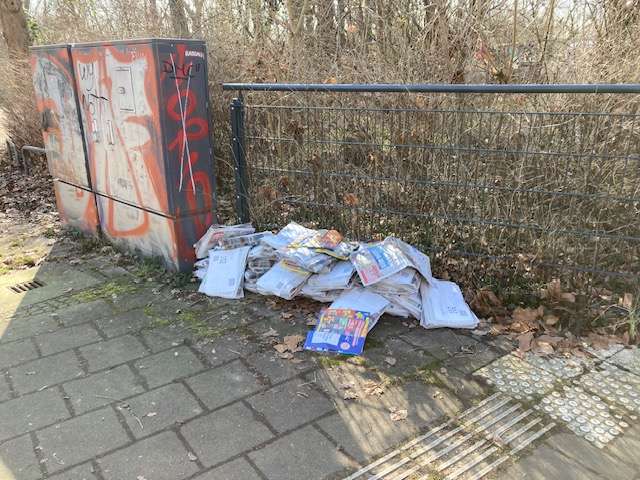 Bild zu gemeldetem Anliegen vom *2025-03-09 08:25:05