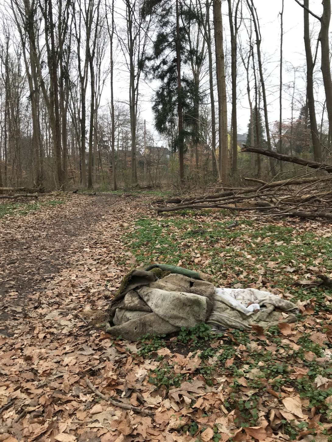 Bild zu gemeldetem Anliegen vom *2025-03-25 08:38:42