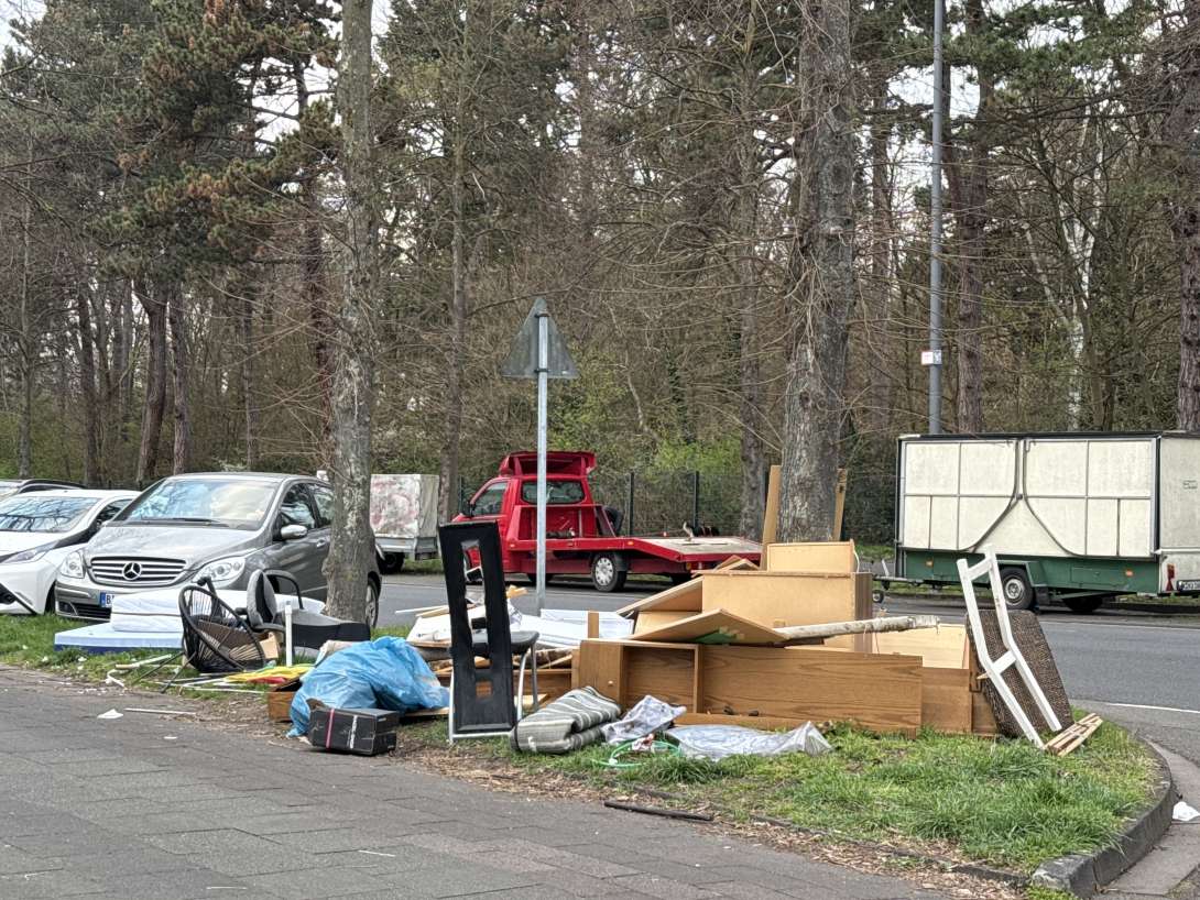 Bild zu gemeldetem Anliegen vom *2025-03-26 18:18:11