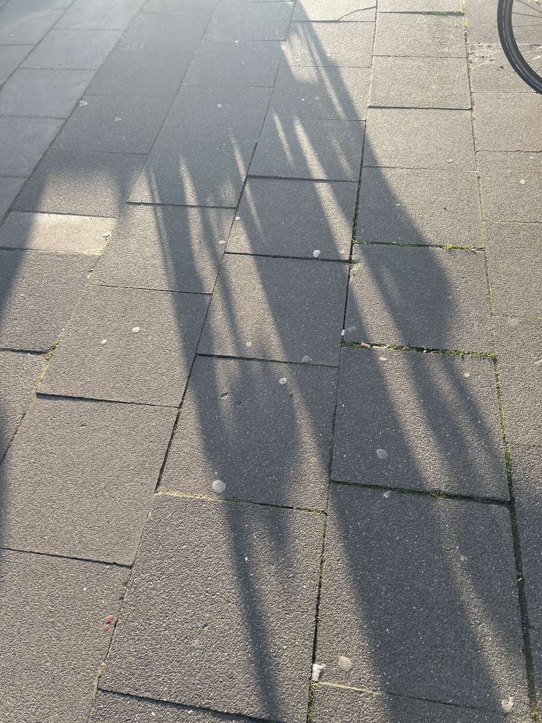 Bild zu gemeldetem Anliegen vom *2025-03-27 07:42:44
