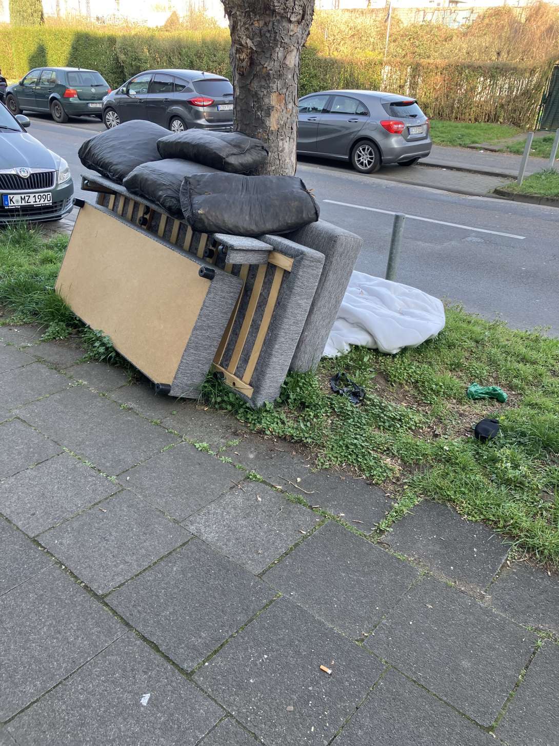 Bild zu gemeldetem Anliegen vom *2025-03-31 09:54:14