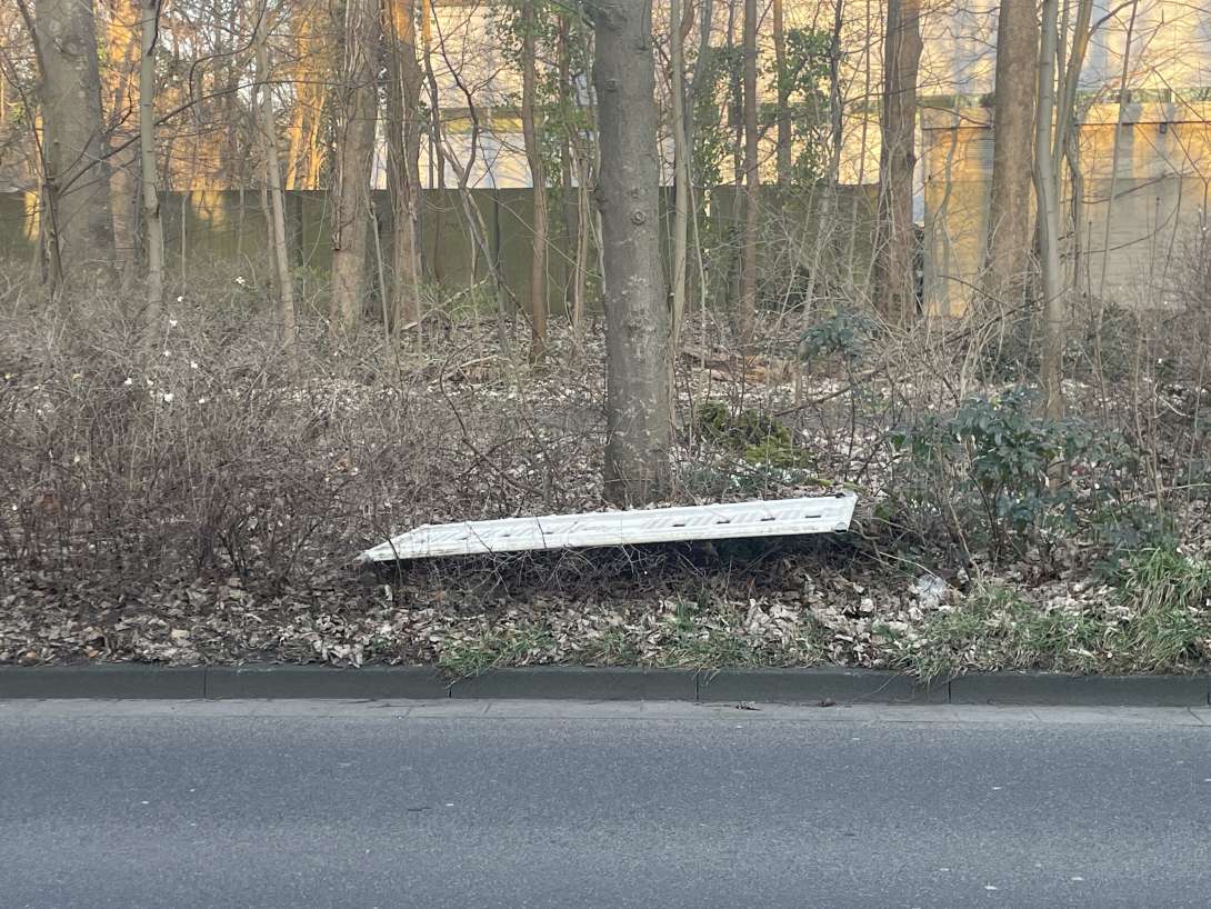 Bild zu gemeldetem Anliegen vom *2025-03-10 07:10:27
