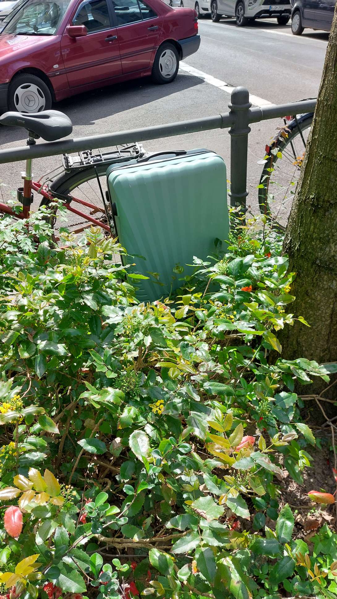 Bild zu gemeldetem Anliegen vom *2025-04-15 11:49:39