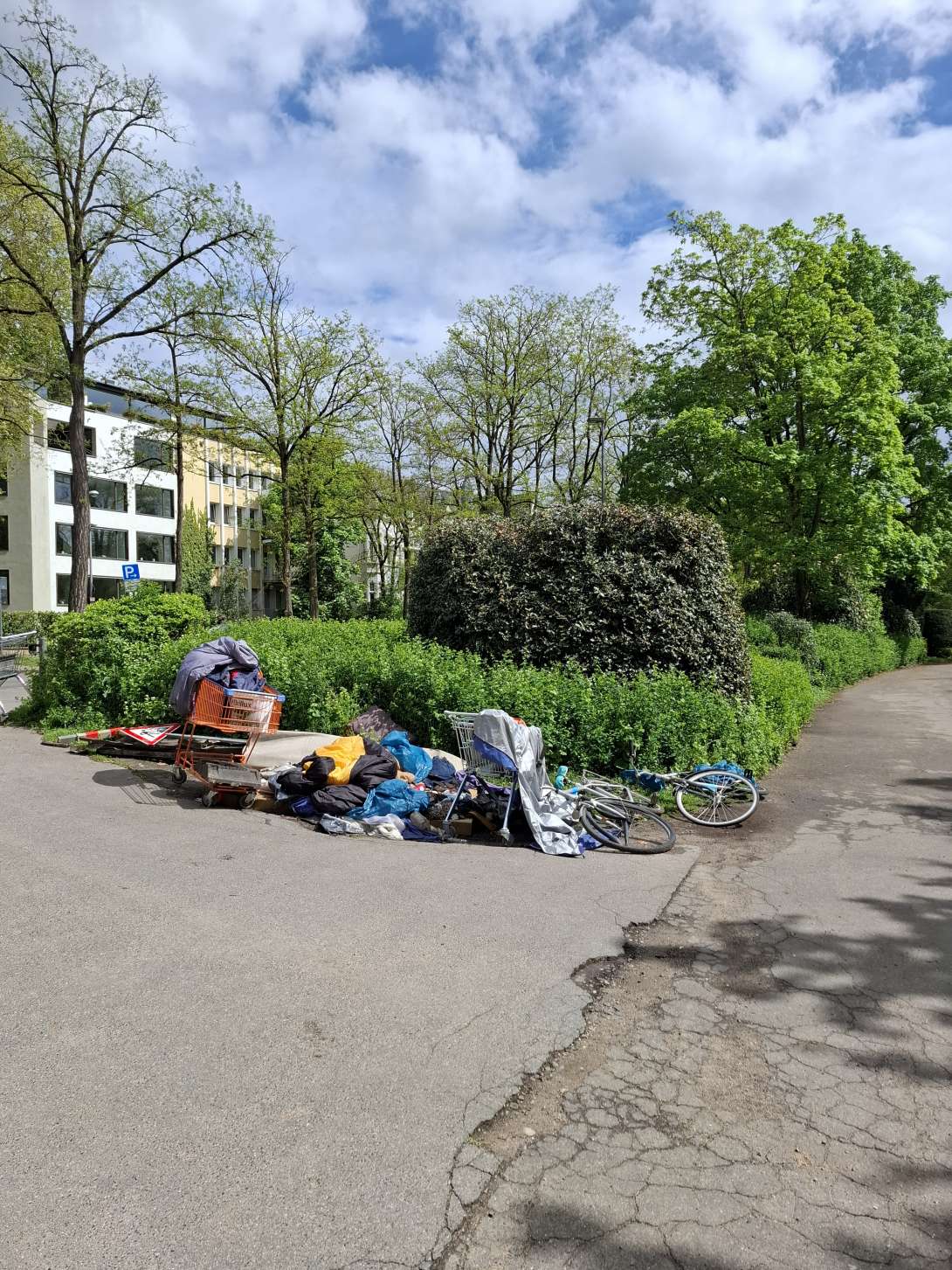 Bild zu gemeldetem Anliegen vom *2025-04-21 14:36:53