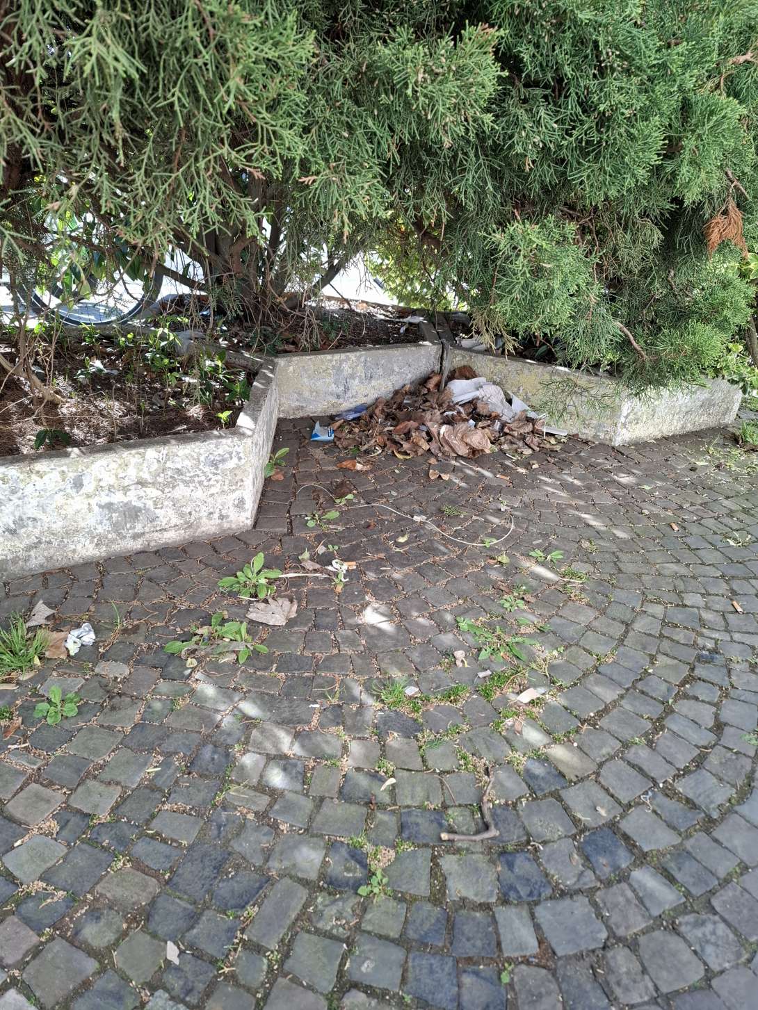 Bild zu gemeldetem Anliegen vom *2025-04-01 11:51:03