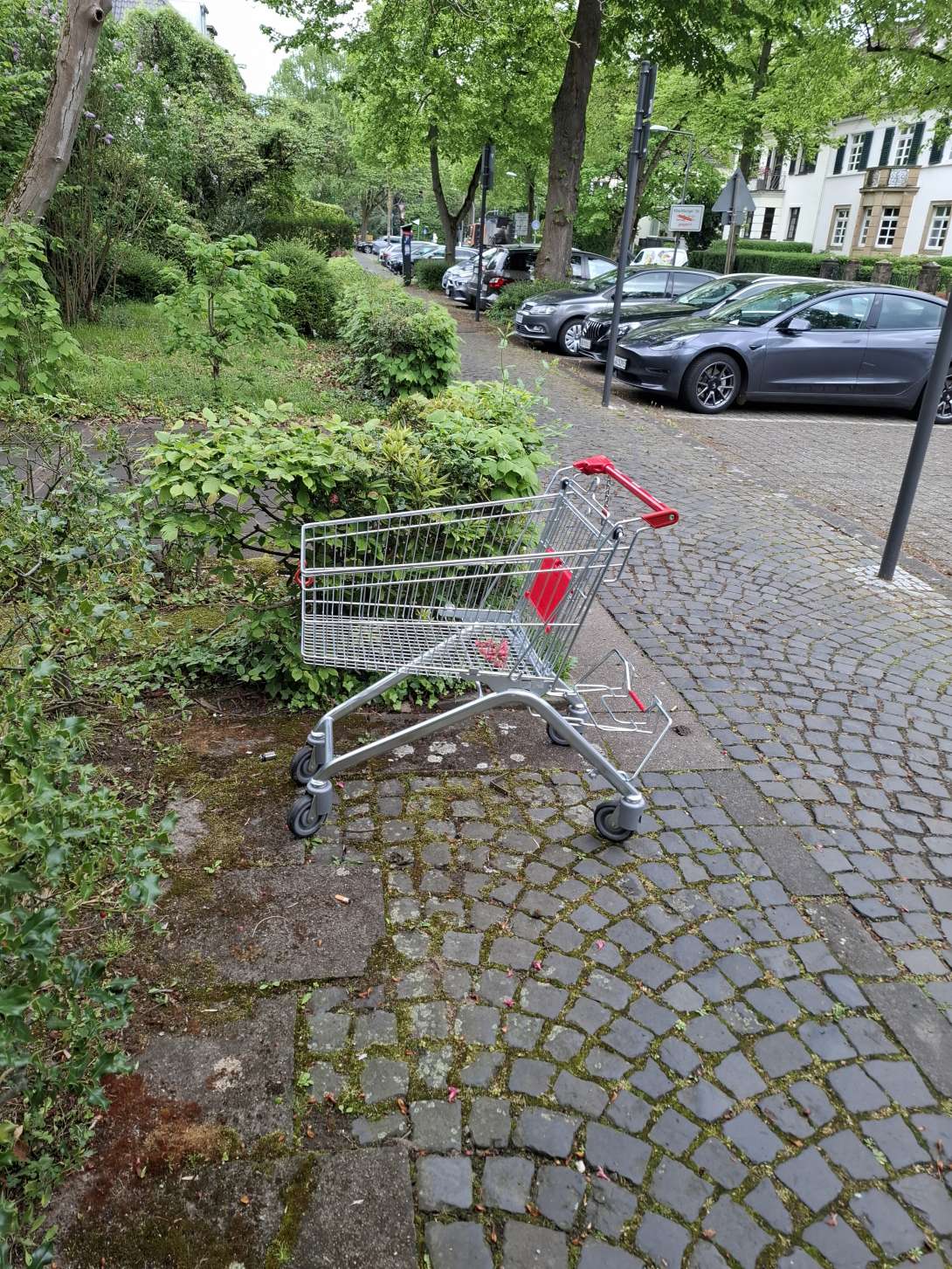 Bild zu gemeldetem Anliegen vom *2025-04-22 14:45:11