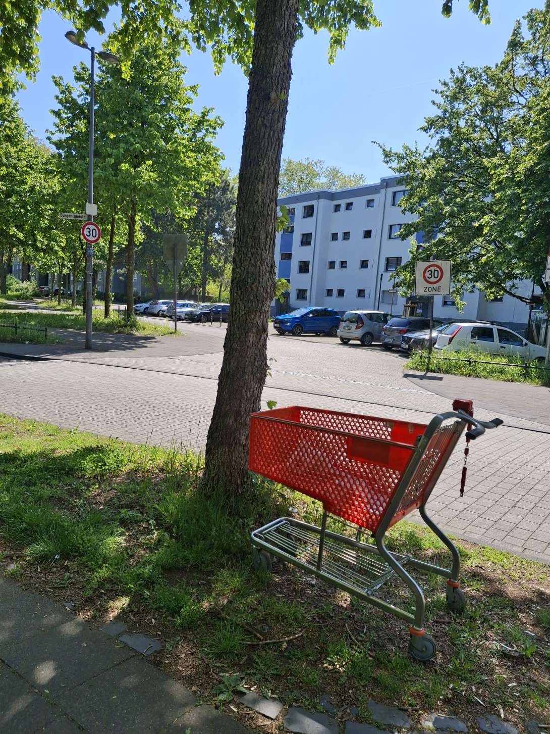 Bild zu gemeldetem Anliegen vom *2025-04-30 15:53:07
