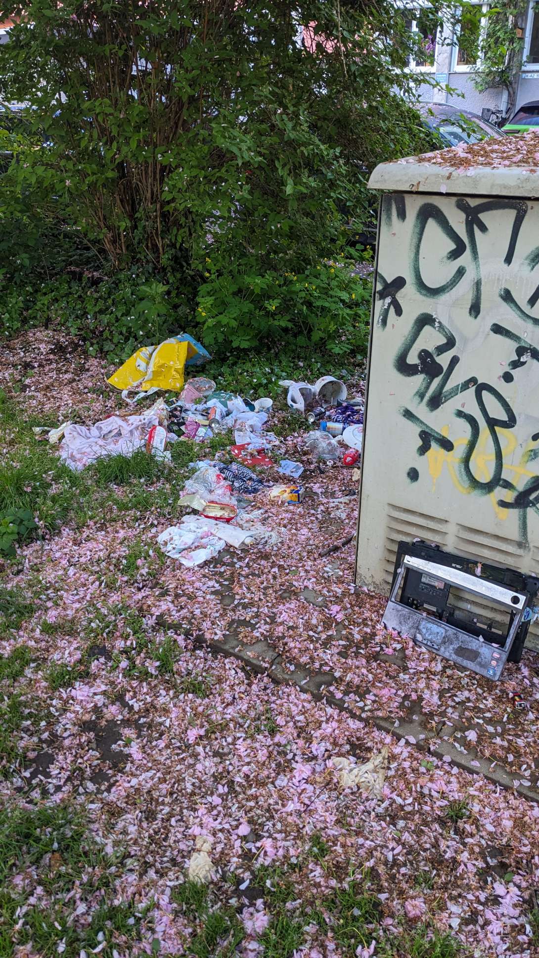 Bild zu gemeldetem Anliegen vom *2025-04-21 08:22:27