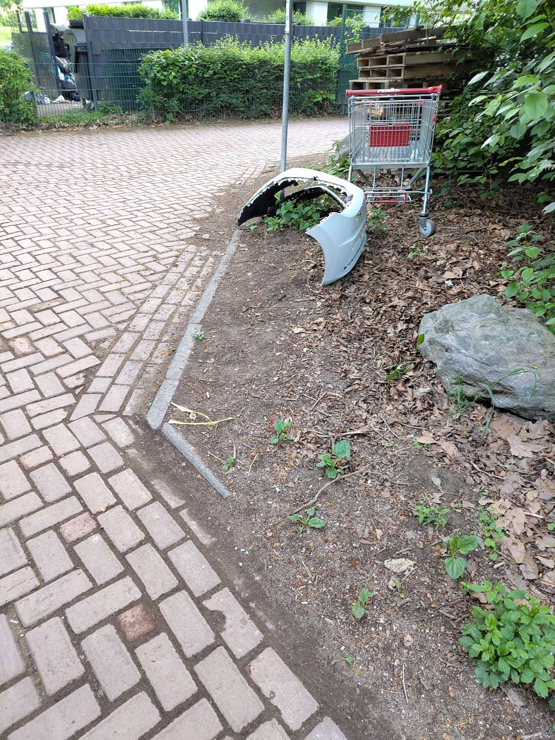 Bild zu gemeldetem Anliegen vom *2025-04-23 14:12:20