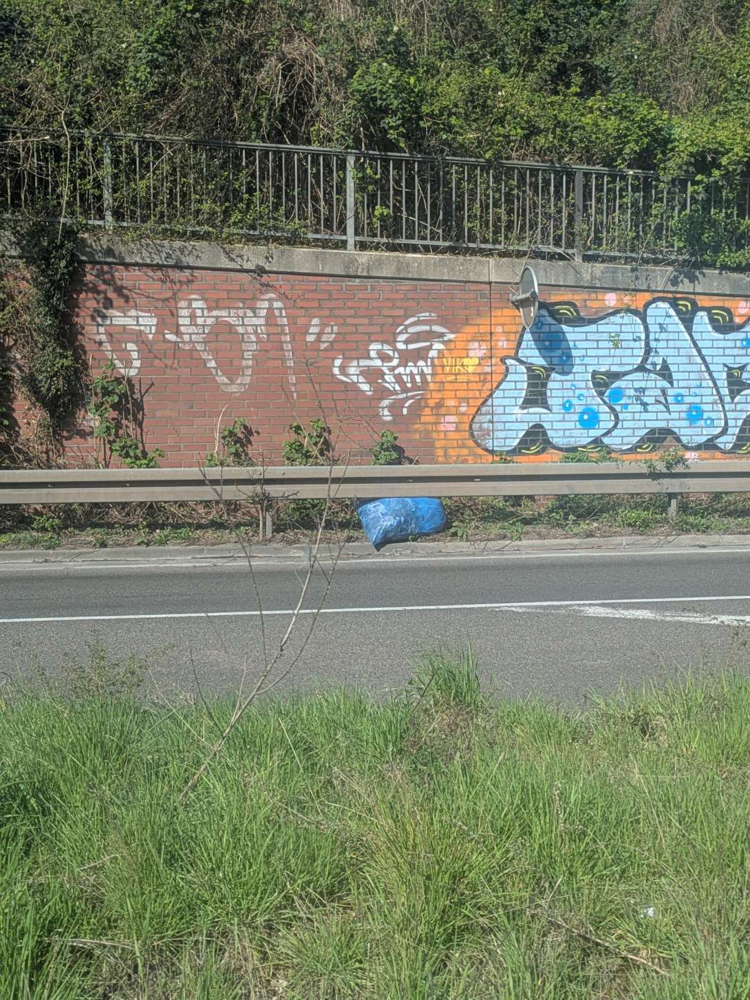 Bild zu gemeldetem Anliegen vom *2025-04-12 10:40:11