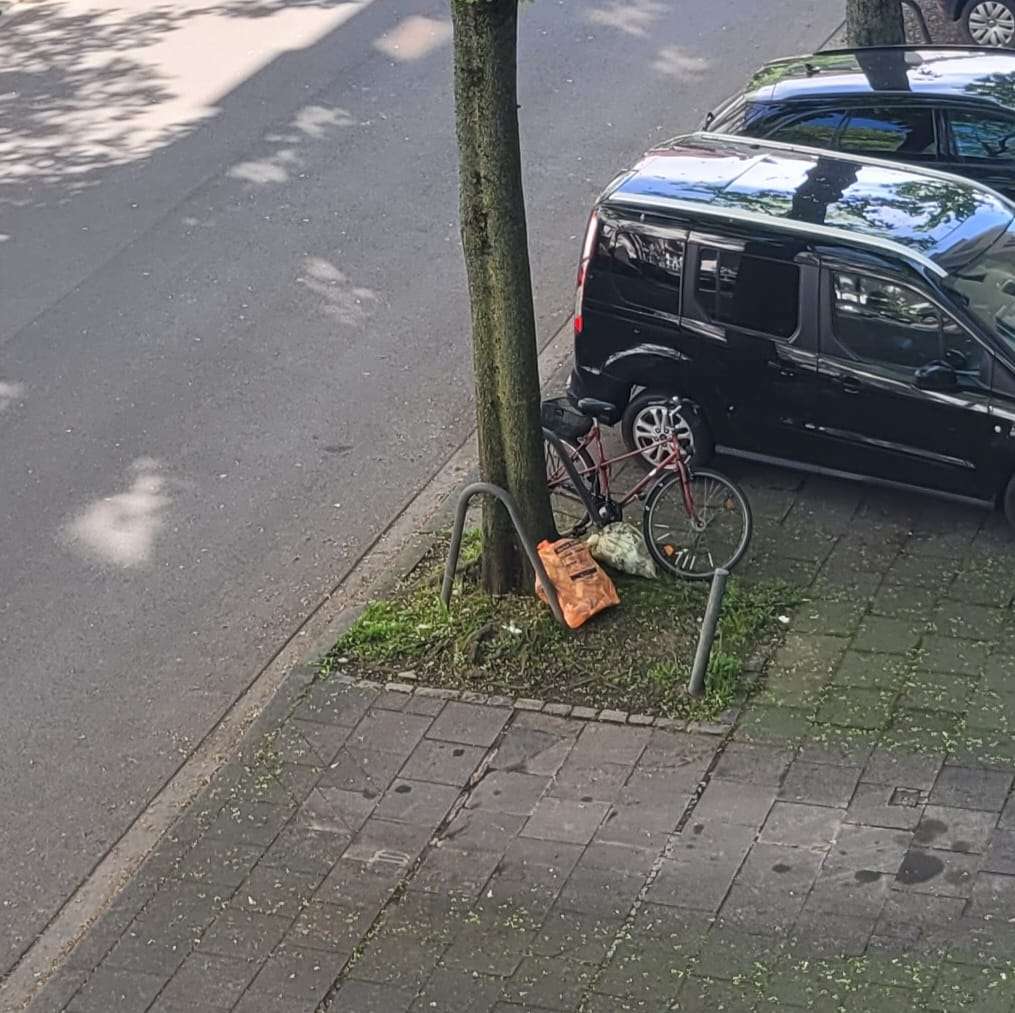 Bild zu gemeldetem Anliegen vom *2025-04-28 14:44:46