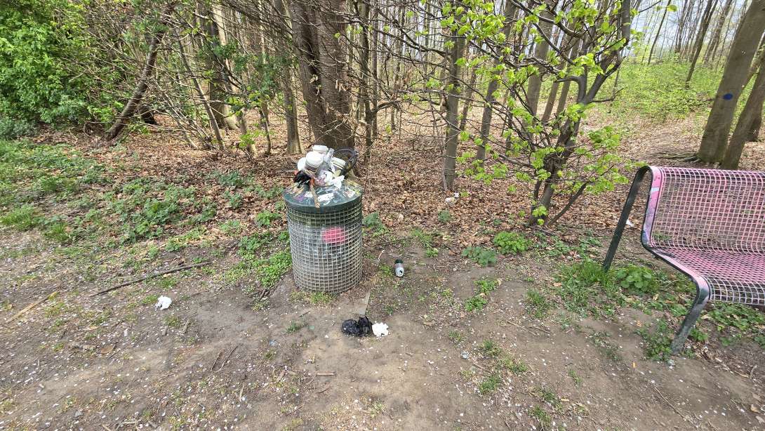 Bild zu gemeldetem Anliegen vom *2025-04-13 15:40:35