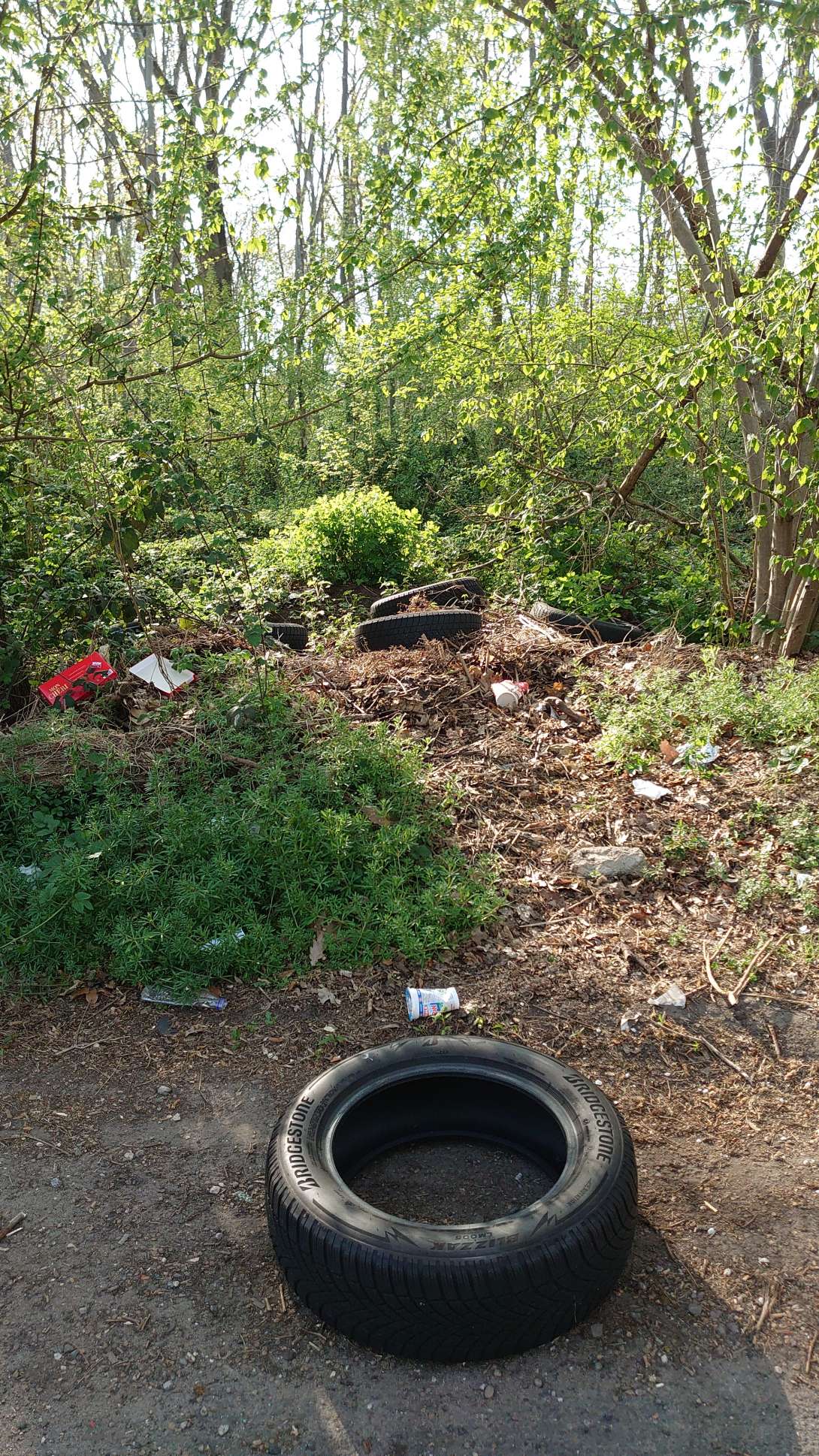 Bild zu gemeldetem Anliegen vom *2025-04-11 17:11:17