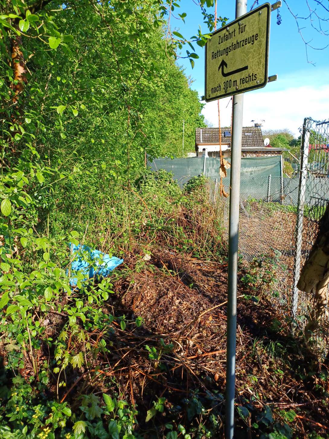 Bild zu gemeldetem Anliegen vom *2025-04-21 08:58:21