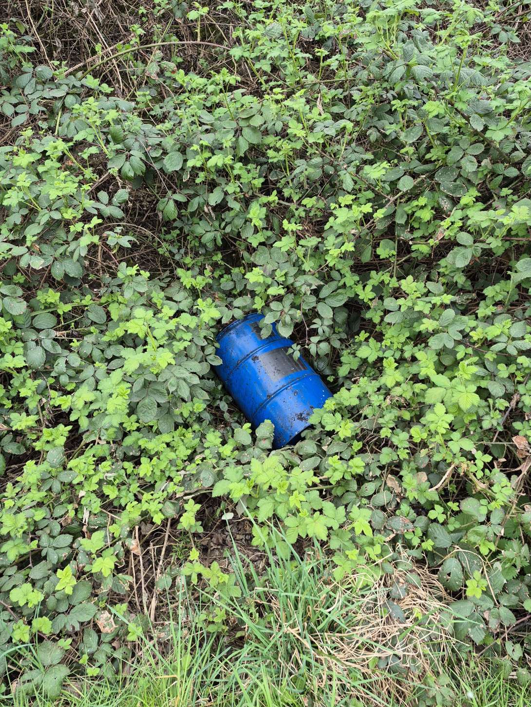 Bild zu gemeldetem Anliegen vom *2025-04-13 15:49:46