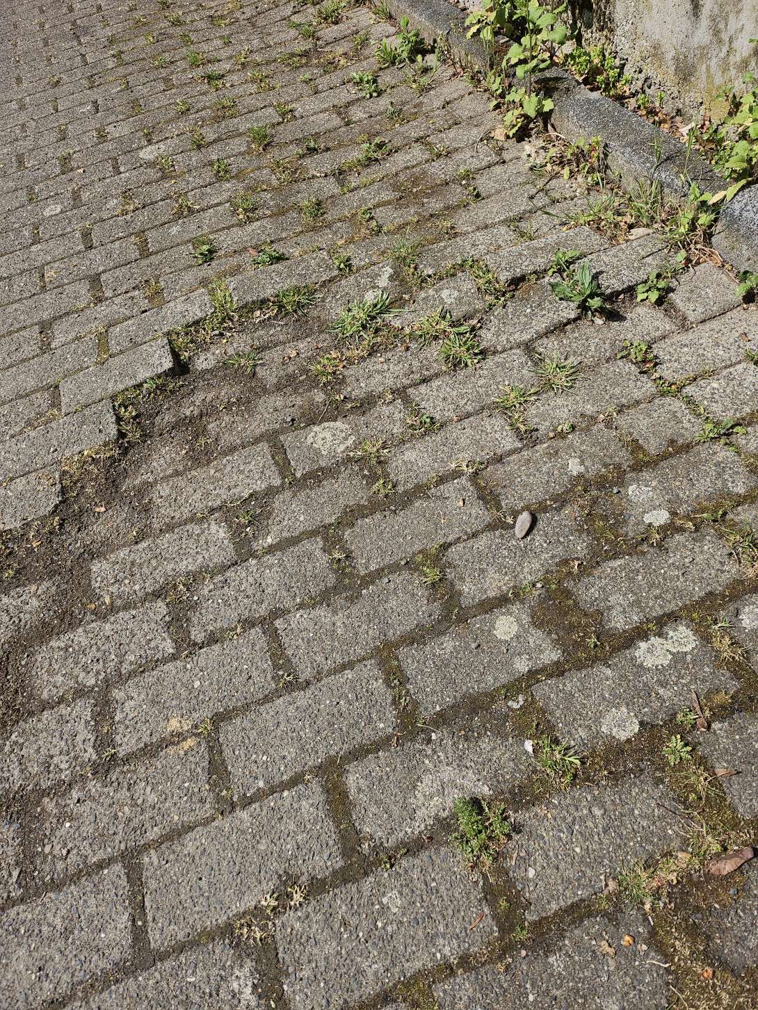 Bild zu gemeldetem Anliegen vom *2025-04-14 12:37:02