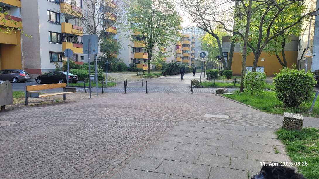Bild zu gemeldetem Anliegen vom *2025-04-11 12:41:33