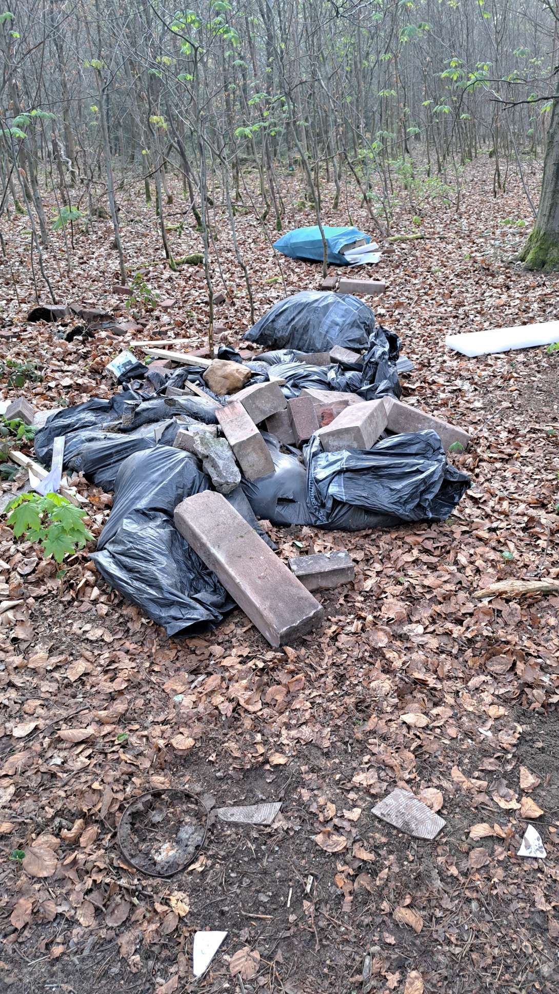 Bild zu gemeldetem Anliegen vom *2025-04-12 09:46:40